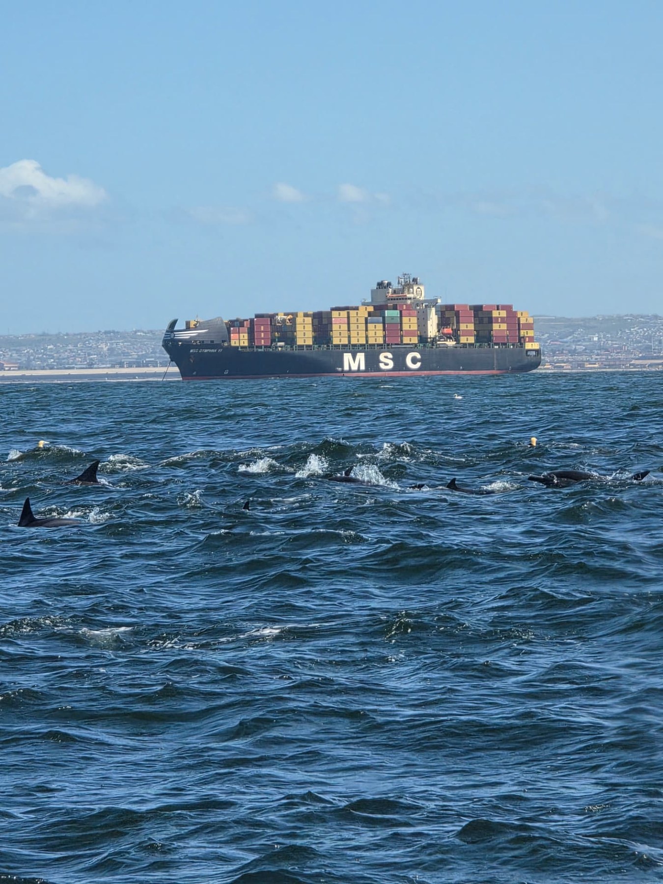 A container ship out on the water